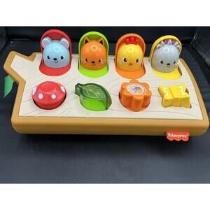 Fisher Price Hide & Peek Learning Pop-up‎ Toy Baby Toddler Woodland Theme